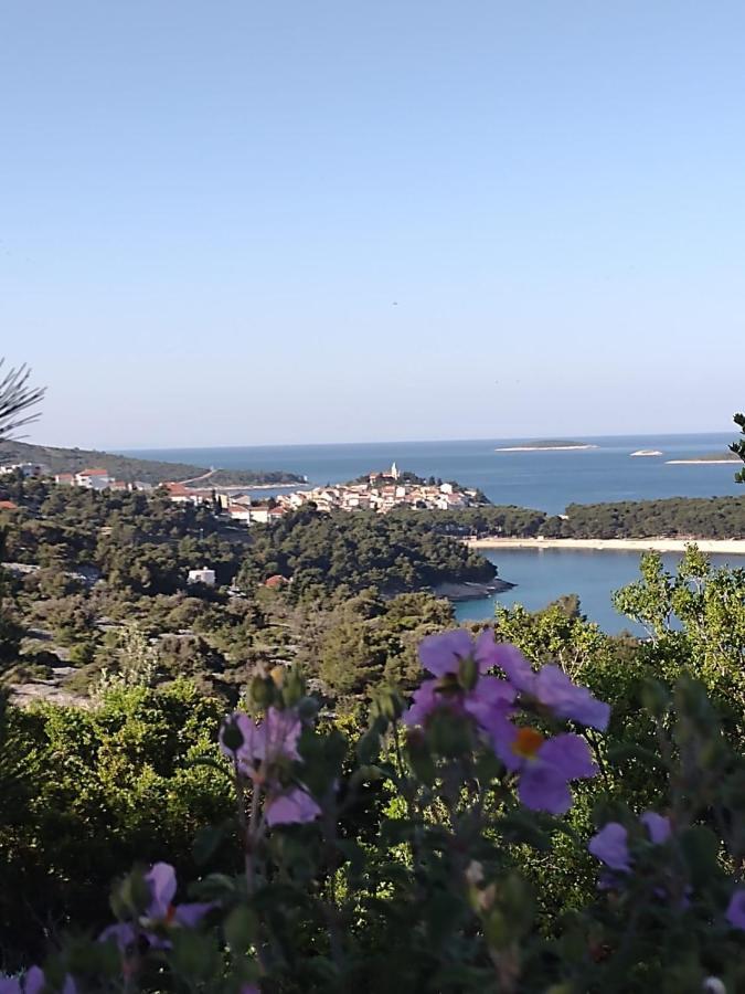 Apartman Zmiric Primošten
