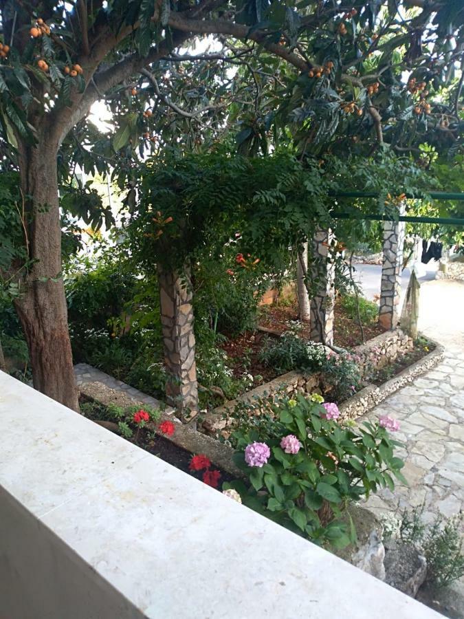 Apartment Zmiric